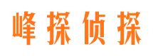 宁武市侦探公司